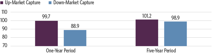 Resilience of Blue Chips