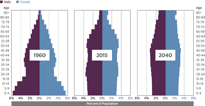 Changing Demographics Highlight Need for Sound Immigration Policy