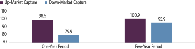 Resilience of Blue Chips